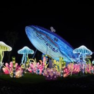 Công viên ánh sáng huyền ảo tại khu du lịch quốc tế Đồi Rồng