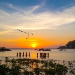 Bến tàu Không số điểm hẹn lịch sử giữa lòng Đồ Sơn