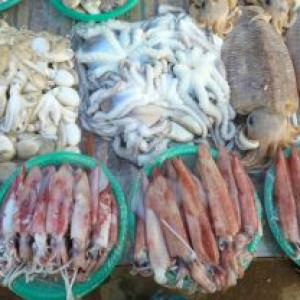 Kinh nghiệm đi chợ hải sản Đồ Sơn để mua đồ ngon giá tốt