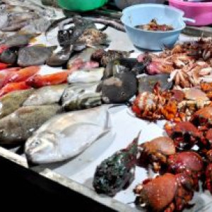 Top quán hải sản ở Đồ Sơn ngon nức tiếng du khách nên thử