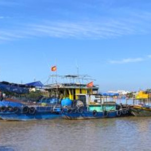 Bến cá Ngọc Hải: Trái tim nồng hậu của biển cả Đồ Sơn